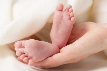 Obraz na płótnie Canvas Little baby feet in mamas hands