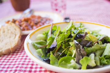mixed salad with wild greens