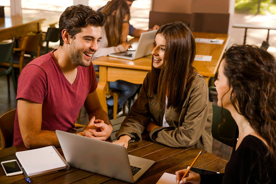 Friends studying together