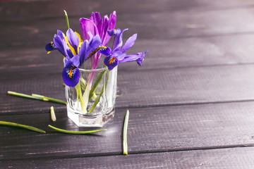 Crocuses, Saffron are very beautiful spring flowers. Care and planting. Cultivation of crocus at home.