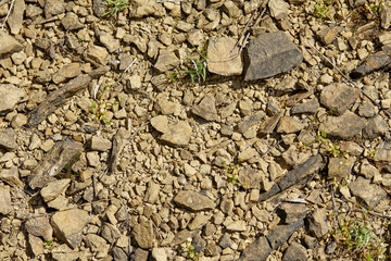 the texture of the ground