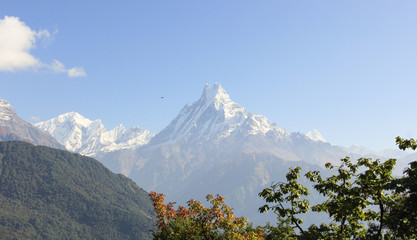 Machapuchare Mountain with snow on the way to Poon Hill in Nepal. Trek hiking adventure views