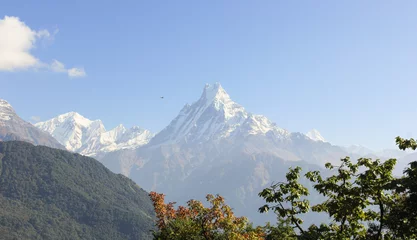 Photo sur Plexiglas Dhaulagiri Machapuchare Mountain with snow on the way to Poon Hill in Nepal. Trek hiking adventure views