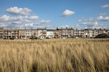 Fototapeta na wymiar Grasses in a Sand Dune under a clear blue sky at Katwijk aan Zee, Holland