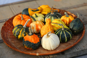 Fall pumpkins