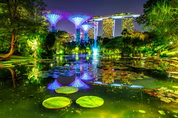 Fotobehang Singapore Spectaculaire skyline van Gardens by the Bay met blauwe en violette verlichting en moderne wolkenkrabber die & 39 s nachts reflecteert in de waterlelievijver. Marina Bay Area in Centraal Singapore, Zuidoost-Azië.