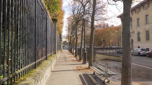 Steadicam shot of walking along the tree-lined sidewalk in quiet street of autumn Paris. Yellow trees and foliage on the ground