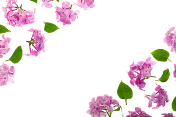 frame with lilac flowers and leaves isolated on white background with copy space for your text. Flat lay. Top view