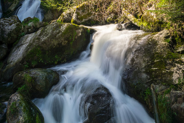 Naklejka na ściany i meble Germany, Green moss covered stones in triberg waterfalls in black forest nature