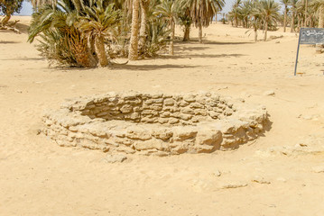 Sinai Peninsula, Egypt, 19 February 2008: Moses Springs, Water wells and palms