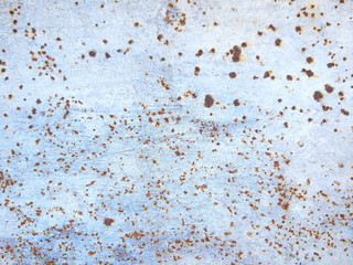 Texture of rusty surface, abstract brown background of old iron sheet, pattern with rust for...