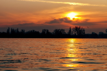 Fototapeta na wymiar Glowing sunrise on the Rhine in Nierstein