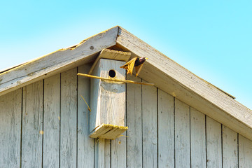 a birdhouse and spring, at sunset