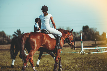A woman jockey participates in competitions in equestrian sport, jumping.