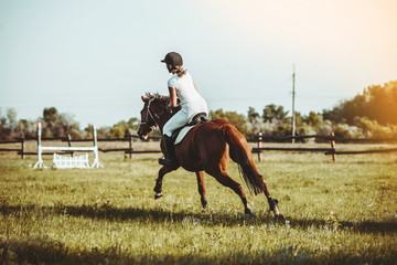 A woman jockey participates in competitions in equestrian sport, jumping.