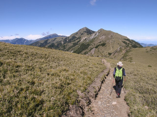Obraz premium A male hiker in a hat holding trekking poles and walking on a trail. Background is the beautiful alpine landscape of Taiwan with a clear blue sky.