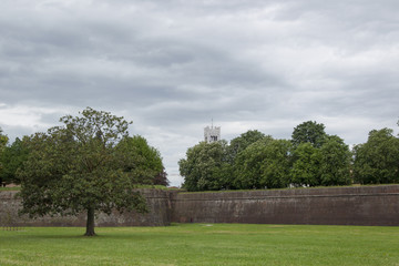 City wall of the Italian city Lucca in Tuscany with trees and the tower of the dome