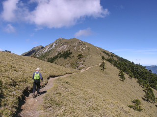 A male hiker in a hat holding trekking poles and walking on a trail. Background is the beautiful...