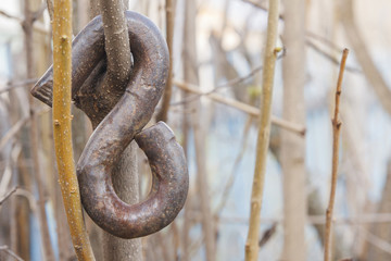 Self-made steel hook hanging on the tree. Blurred background with copy space
