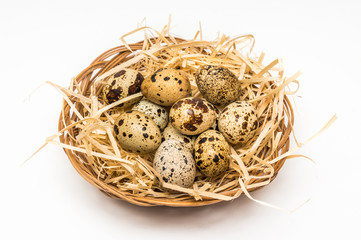 Obraz premium Quail eggs in nest isolated on white
