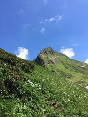 Sochi. Krasnaya Polyana