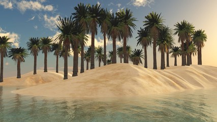palms in a row on the beach over the water at sunset,
3D rendering
