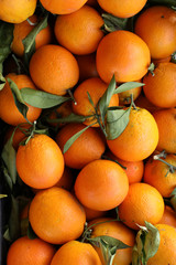 Ripe oranges background.