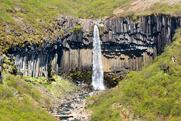 Fototapeta na wymiar Svartifoss Waterfall In Iceland