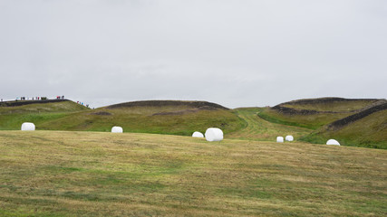 Landschaft mit Pseudokratern am See Mývatn in Nord-Island © tina7si