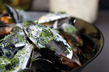 Seafood mussels on pan with cream sauce. Restaurant food. Shellfish mussels. Close up steamed mussels with parmesan cheese, sauce, basil and garlic. Selective focus