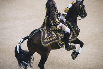 Cercles muraux Tauromachie Corrida. Matador et combats de chevaux dans une corrida espagnole typique