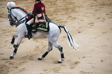 Papier Peint photo Lavable Tauromachie Corrida. Matador et combats de chevaux dans une corrida espagnole typique