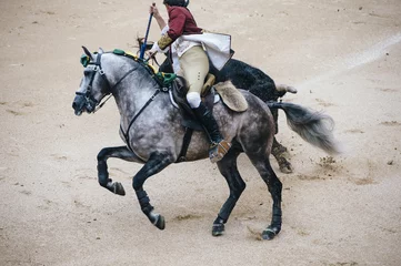 Cercles muraux Tauromachie Corrida. Matador et combats de chevaux dans une corrida espagnole typique