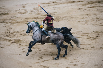 Corrida. Matador and horse Fighting in a typical Spanish Bullfight