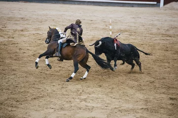 Papier Peint photo Tauromachie Corrida. Matador and horse Fighting in a typical Spanish Bullfight