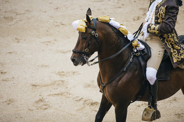 Corrida. Matador et combats de chevaux dans une corrida espagnole typique