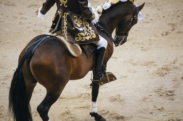 Corrida. Matador and horse Fighting in a typical Spanish Bullfight