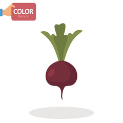 Beet vegetable flat color icon