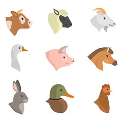 Cattle farm animal flat color icon set