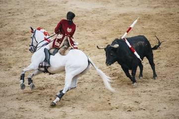Cercles muraux Tauromachie Corrida. Matador and horse Fighting in a typical Spanish Bullfight