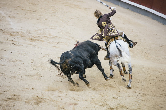 Corrida. Matador and horse Fighting in a typical Spanish Bullfight