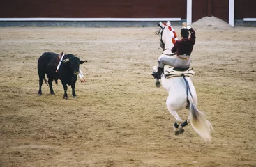 Crédence de cuisine en verre imprimé Tauromachie Corrida. Matador and horse Fighting in a typical Spanish Bullfight