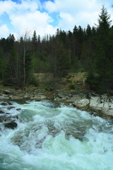 mountain river and forest in the background, summer hiking trails, river rapids, sharp rocks