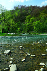 summer hiking trails, mountain river, river bank, forest