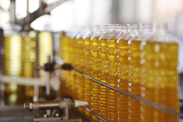 Sunflower oil. Line for the production and bottling of refined oil from sunflower seeds. Conveyor of food industry