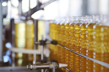 Sunflower oil in the bottle moves along the conveyor line. Production of vegetable refined oil from...