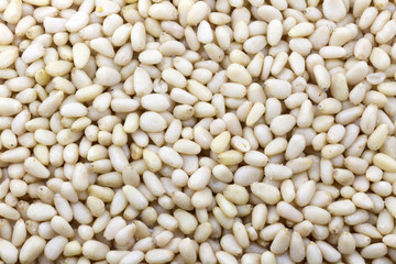 Pine nuts background