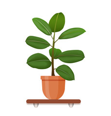 Houseplant in a pot in flat style. Indoor gerb on shelf isolated on a white background. Living room design decoration element.