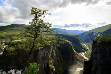 scenic landscape with canyon, river mountains, waterfall and a single tree - vintage
