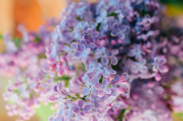 Closeup macro detailed photo of blooming beautiful lilac branches bouquet on abstract background.  Vase with spring summer flowers. Vivid colors.  Beauty of nature. Seasonal flora.